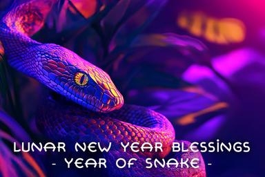 Celebrate the Year of the Snake: Heartfelt Chinese New Year Greetings for 2025
